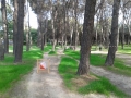 20151025_104543